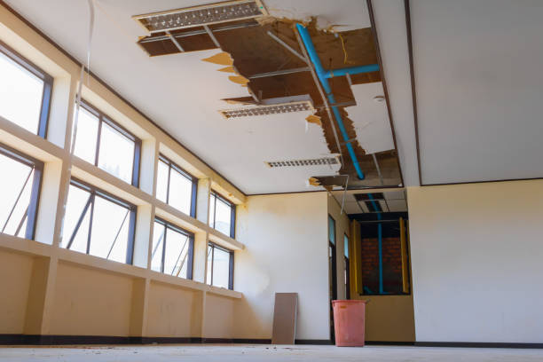 Best Local water damage restoration  in Kirtland, OH