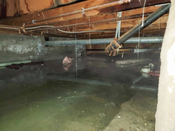 Best Ceiling water damage repair  in Kirtland, OH