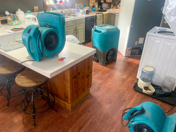 Best Carpet water damage restoration  in Kirtland, OH