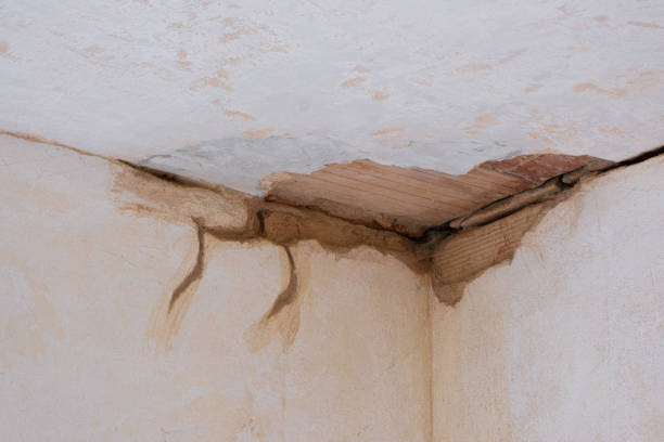 Best Residential water damage restoration  in Kirtland, OH