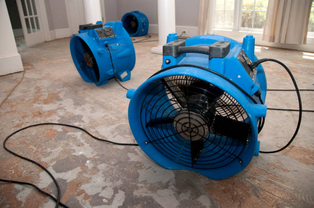 Best Emergency water damage restoration  in Kirtland, OH