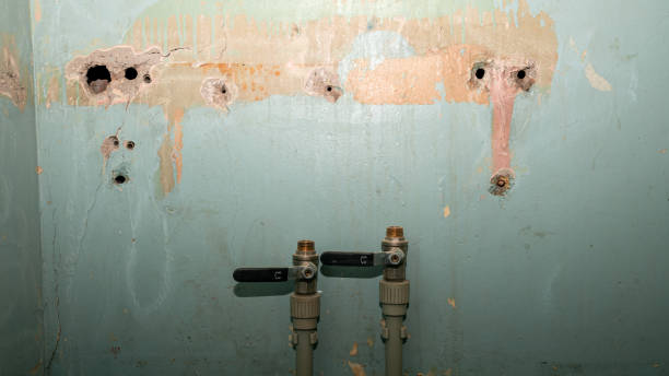 Best Carpet water damage restoration  in Kirtland, OH