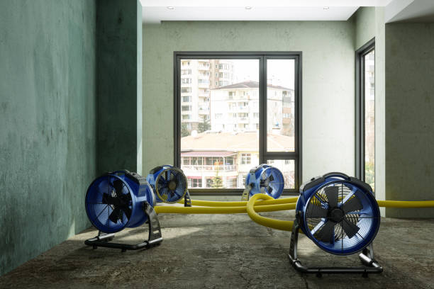 Best Water damage contractors near me  in Kirtland, OH