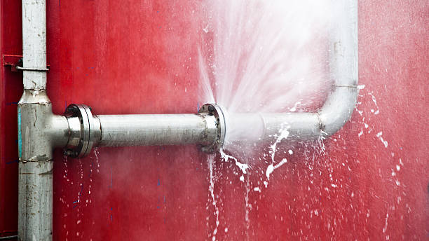 Best Water damage mitigation services  in Kirtland, OH