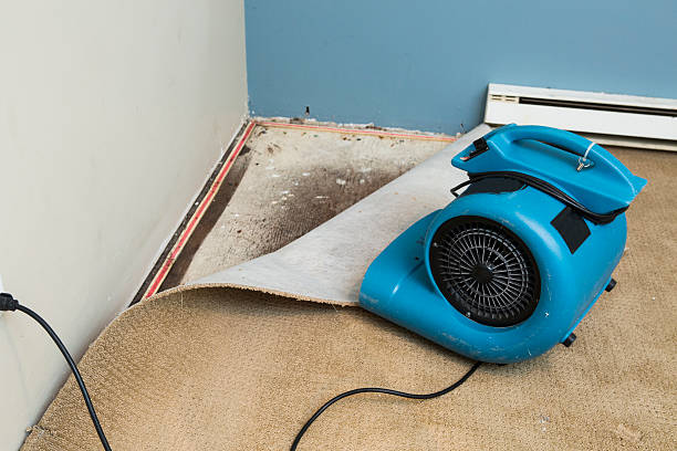 Best Commercial water damage restoration  in Kirtland, OH
